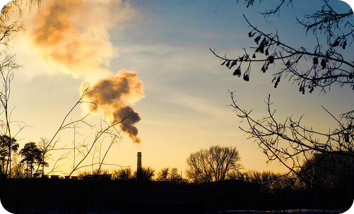 Environmental Consultancy